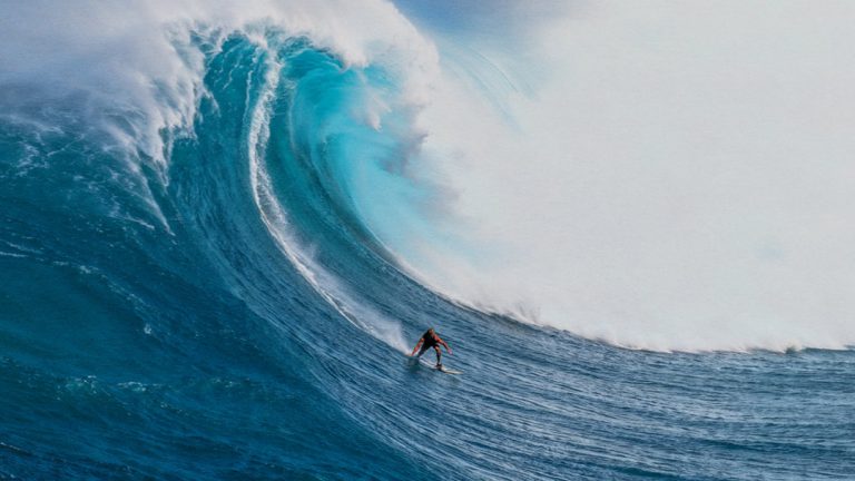 «Holy Surf: Once Upon a Wave» at the FIFO!