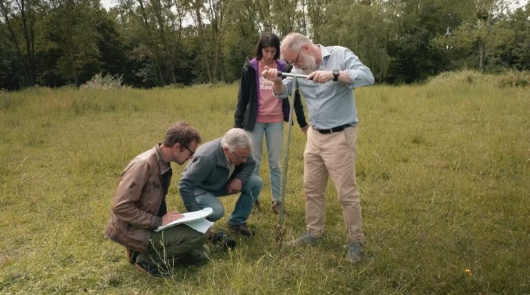 Organize a screening of the film «A Forest to Eat»!